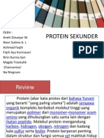 Protein Sekunder