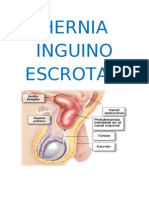 Seminario - Hernia Inguinoescrotal