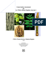 2003 Conservation Assessment For Butternut or White Walnut (Juglans Cinerea) L. by Jan Schultz USFS PDF