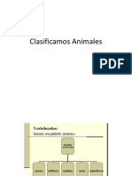 Clasificamos Animales