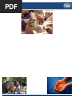 Download Animal Reiki by Witchtopia Realm SN114171505 doc pdf