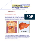 Página Principal - Docxkaty