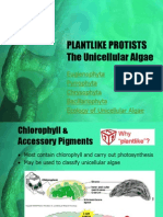 BIO1 - Plantlike Protists