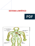 Sistema Linfatico