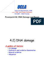 Dna Damage and Repair