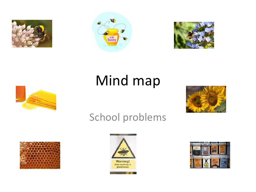 Honey Bee Classroom Solutions | PDF | Self-Improvement | Wellness