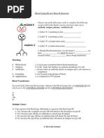 Download Blood Typing Practice Questions by John Roufaiel SN114224288 doc pdf