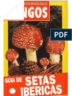 Guia de Setas Ibericas