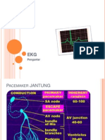 Ekg. PKKT