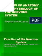 Review of Anatomy and Physiology of The Nervous System: Kristine June M. Capili, M.D