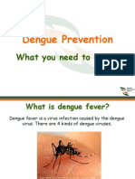 Dengue Fever1