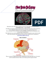 [MDMA]MDMA Neurochemistry