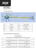 (s5ita - bioita e bioitb) SOLUZIONE Test Lungo - 16/11/2012