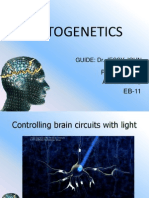 Optogenetics: Presented By, Athira Das EB-11