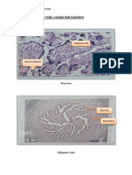 Histology of Fallopian Tube, Vagina and Placenta
