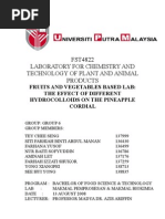 Download LAB 5 - Pineapple Cordials by ghostly_form4169 SN11436830 doc pdf