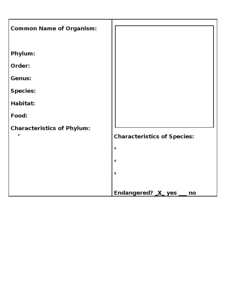 Animal Card | PDF | Science & Mathematics