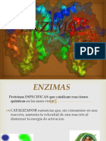 Enzimas