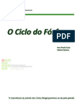 Ciclo Do Fosforo