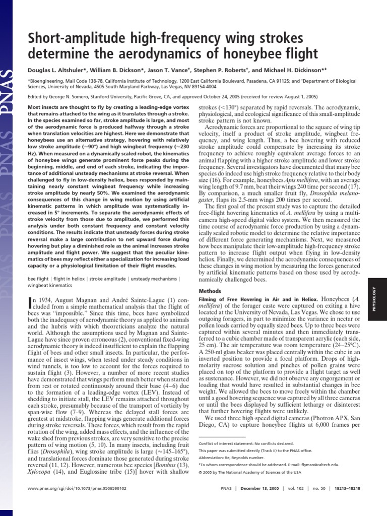ShortAmplitude HighFrequency Wing Strokes Determine The Aerodynamics
