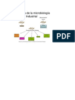 Productos de La Microbiología Industrial: Bioconversión Células