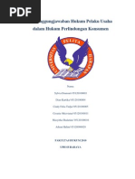 Download Pertanggungjawaban Pelaku Usaha dalam Perlindungan Konsumen by Sylvia Diansari SN114420329 doc pdf