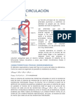 Tema 4. Circulación Arterial