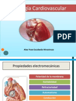 Fisiologia Cardiovascular Propiedades Del Miocito Cardiaco
