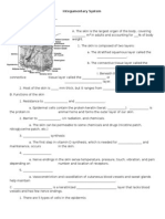 Integumentary