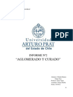 Informe 2 Aglomerado y Curado