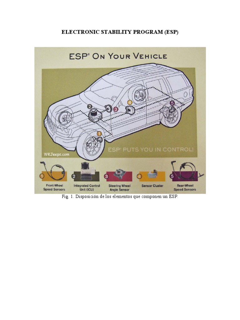 ESP System | PDF