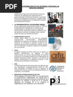 Instituciones que protegen derechos humanos | PDF | Programa de las ...