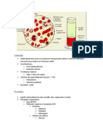 Sangre y Linfa