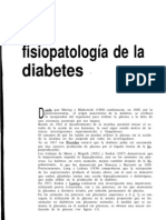 Diabetes Fisiopatologia