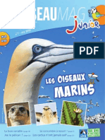 L'Oiseau Magazine Junior n°7 (Extrait)