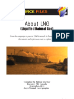 Download LNG - What is it by ARTS PLACE SN114616565 doc pdf