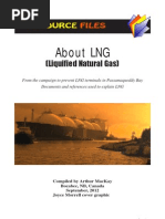 Download LNG - What is it by ARTS PLACE SN114616565 doc pdf