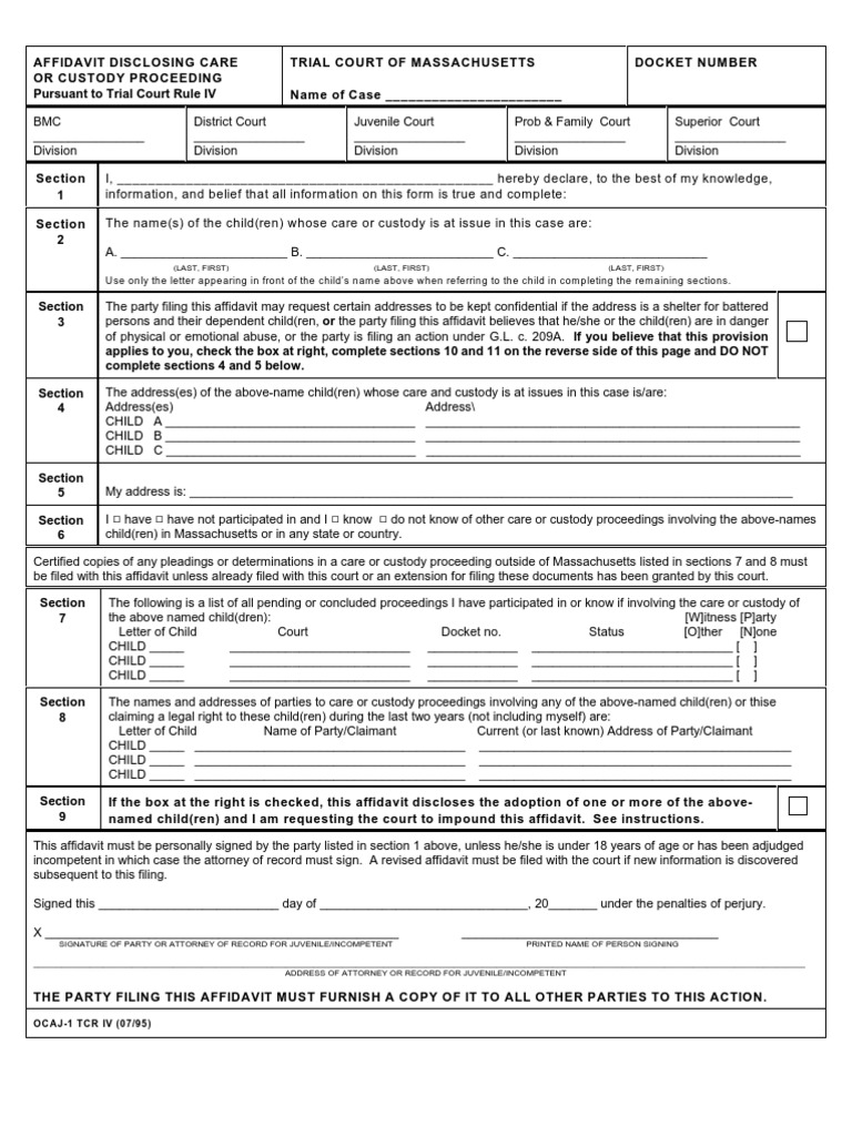 Custody | PDF | Child Custody | Affidavit