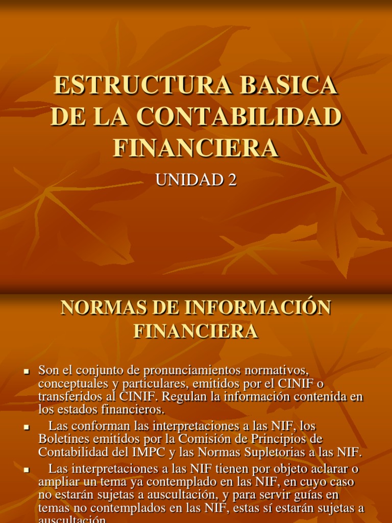 UNIDAD 2 Estructura Basica de La Contabilidad Financiera