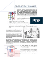 Tema 11. Circulación pulmonar