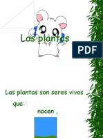 Plantas Peto