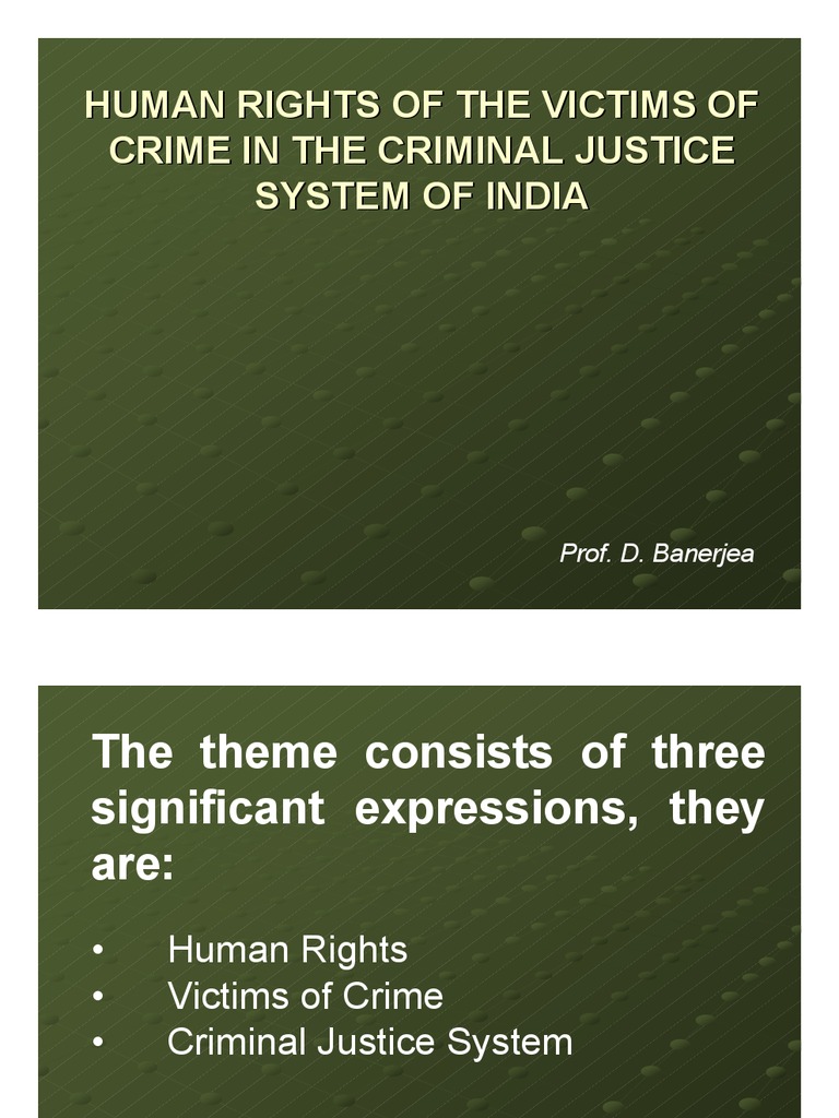 Human Rights of The Victims of Crime in The Criminal Justice System of ...