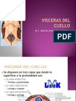 visceras-del-cuello-1222495594535357-8(1)