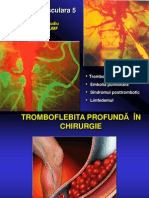 13.patologie Vasculara 5