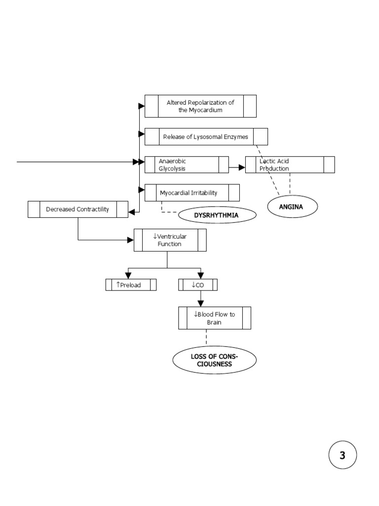 Myocardial Infarction Pathophysiology _ Schematic Diagram
