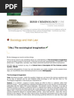 Download 09a The Sociological Imagination by Seamus Breathnach SN11469773 doc pdf