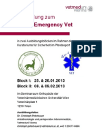 Fire Emergency Vet 201301 01