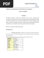 Download Pembuatan Media Biakan Dan Penanganan Drosophila Sp by Ezzwan Al Atiq SN114750291 doc pdf