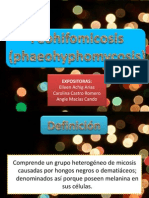 Feohifomicosis Micologia Expo