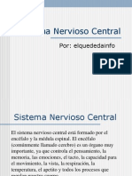  Sistema Nervioso Central